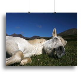 Sleeping Beauty Canvas Print or Poster (Type: Standard Framed Canvas Print, size: 24" x 16" / 60cm x 40cm approx)
